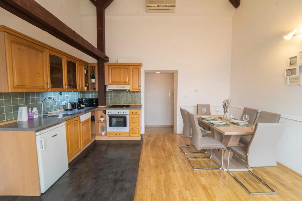 Free Parking- Cozy Apartment In Historical Building Center 布拉格 捷克