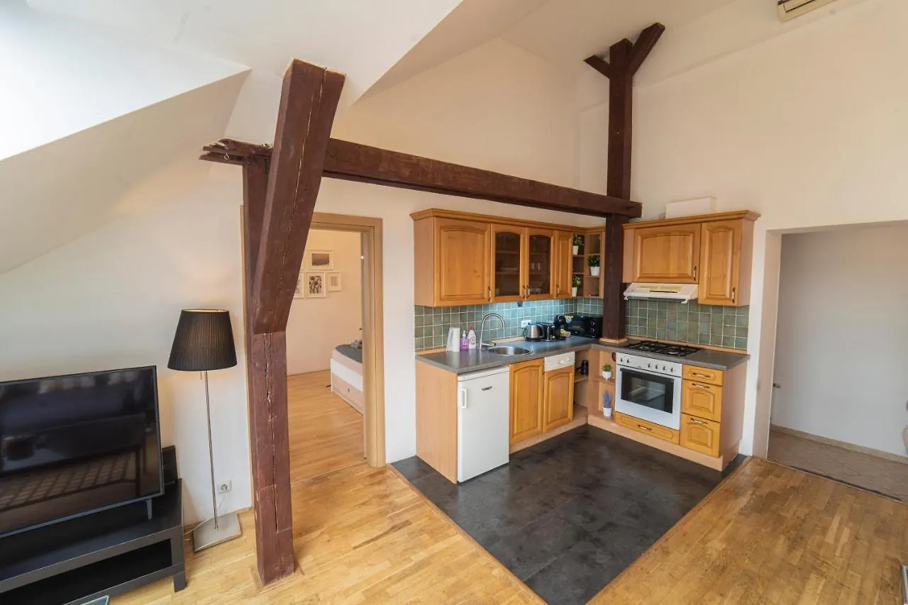Free Parking- Cozy Apartment In Historical Building Center 布拉格 捷克